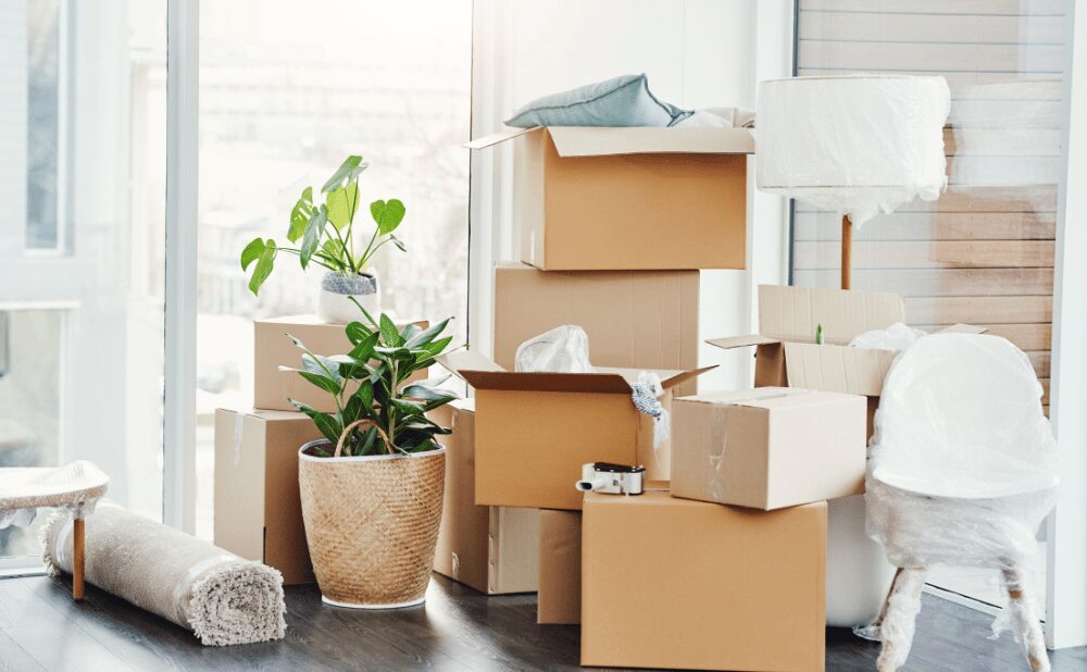 不用品回収で人気の「軽トラ積み放題」とは?